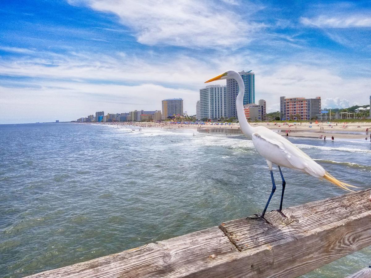 Ocean Front 3Rd Floor 1Br Apartment Myrtle Beach Exterior photo